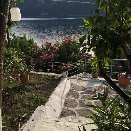 Lägenhet Delfini Bay Retreat Vasiliki