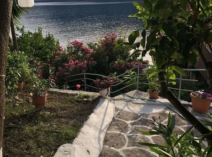公寓 Delfini Bay Retreat 瓦西利基