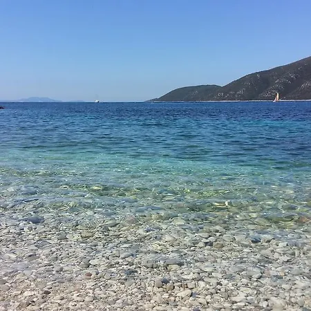 Delfini Vassiliki