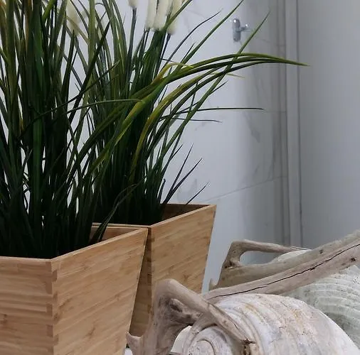 Delfini Bay Retreat Апартаменты